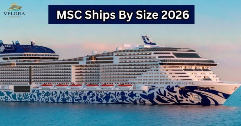 MSC Ships By Size