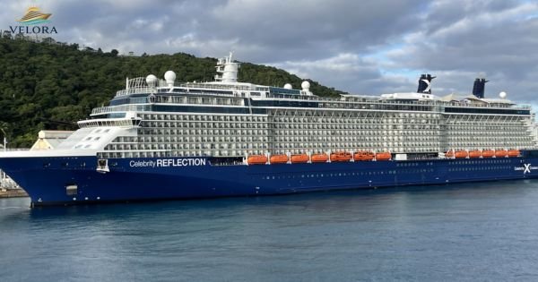 Celebrity Reflection