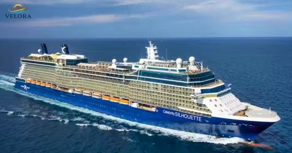 Celebrity Silhouette