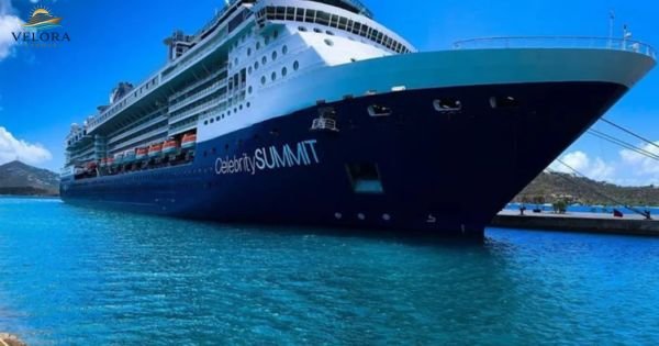 Celebrity Summit